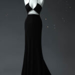 A beautiful long skirt with a train and a wonderful modern top.(Black & White Collection) N1